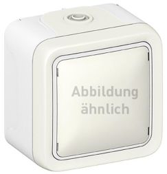 Legrand 069753 rocker switch illuminated, moisture-proof, AP Plexo IP55 white, (grey)