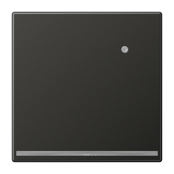 Jung AL1539-OANLNW LED orientation light with integrated brightness sensor, thermoplastic painted, LS series, anthracite