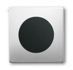 Busch-Jaeger 8253-866 central plate stainless steel