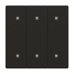 Busch-Jaeger 2CKA001751A3284 2570-30-885 3-way electric button rocker