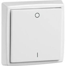 Hochköpper 343876 D 450/61.022 FU-BLS 61x61mm 2-channel rw wall transmitter