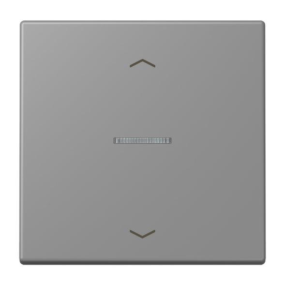 Jung LC101KO5P203 rocker with light guide, with arrow symbols for 1-way button, LS series, gris 31