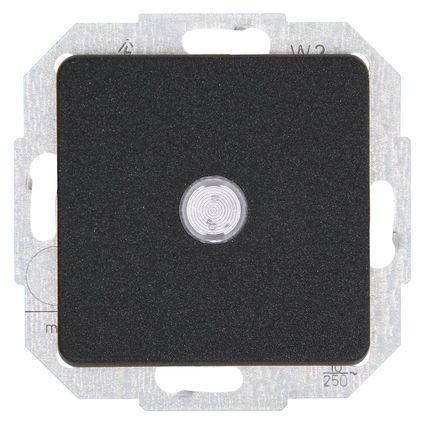 Kopp 619365086 MILANO illuminated anthracite button