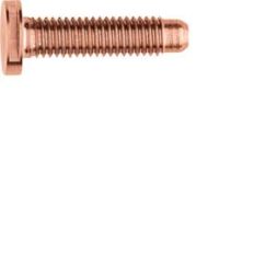 Elcom REH128Y Special ZY M5x25 PVD Variantic screw