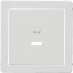 Berker 48606089 for USB Qx polar white including centre piece