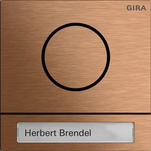 Gira 5565921 Sys106 br door station module