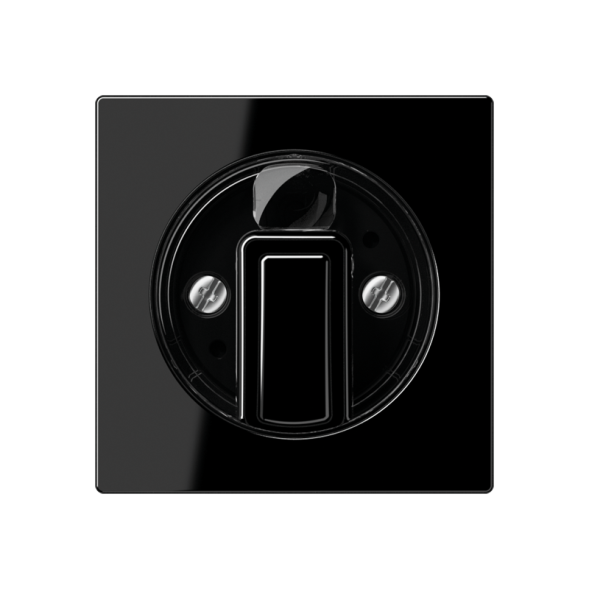 Jung A1541SW cover for rotary switch, Duroplast, Series A, black