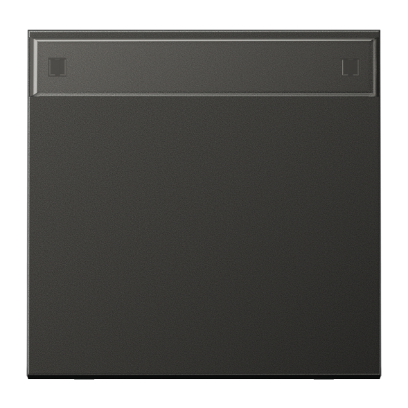 Jung AL2990NAAN rocker switch 1-way, with label field, painted aluminium, LS series, anthracite (painted aluminium)