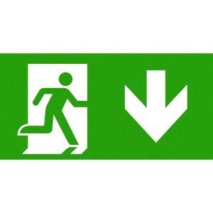 CEAG emergency light two-sided PU/BL 40071350945 pictogram disc