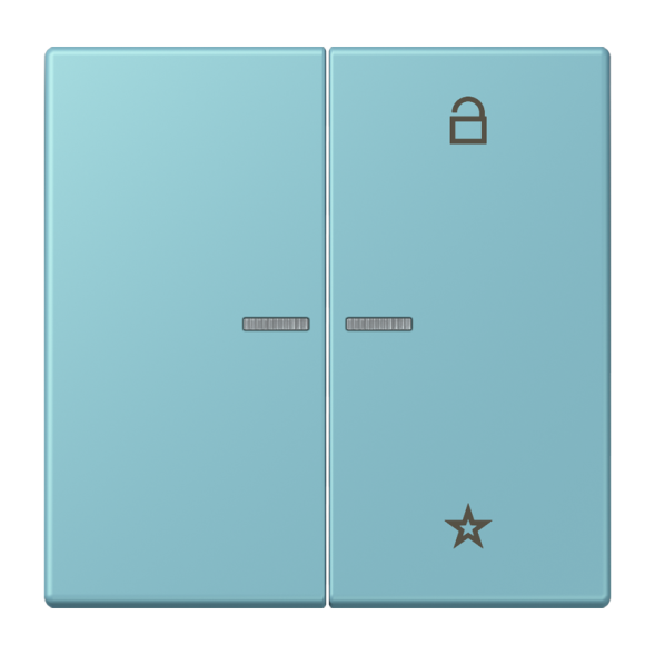 Jung FMLC1701213 eNet button universal 1-way 2-way, Duroplast, LS series, medium cerulean ( LC32032 )