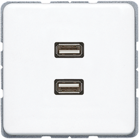 Jung MACD1153WW multimedia connection system 2 x USB 2.0, CD series, alpine white