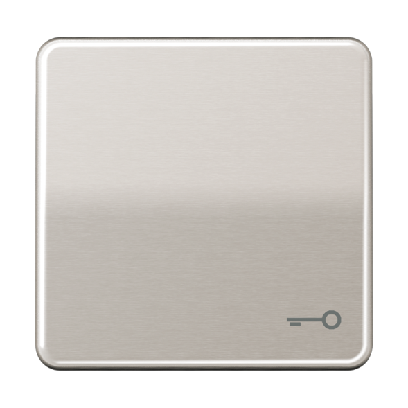 Jung CD590TPT rocker switch, symbol door, aluminium anodised, CD series, platinum