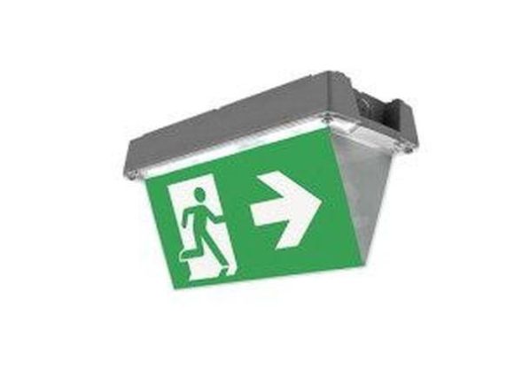 CEAG emergency light Atlantic D 1-8h/D CGLine+ LED emergency light