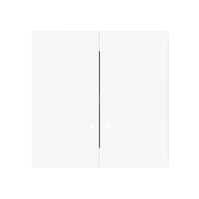 Busch-Jaeger 2CKA001751A3309 with print DO NOT DISTRUB central plate