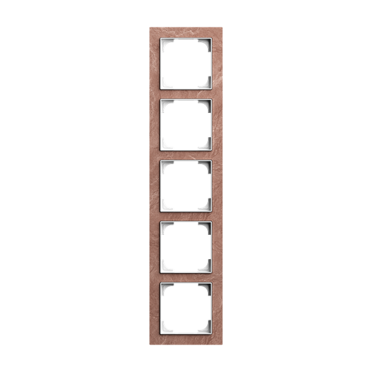 Busch-Jaeger 2CLA897500A2958 1725-4097 5-way frame