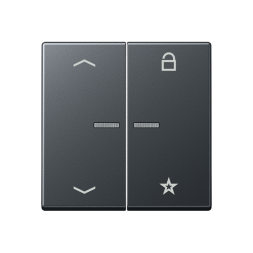 Jung FMA1701BFPANM eNet radio control button