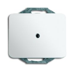 Busch-Jaeger 1749-24G central plate, with support ring studio white high gloss