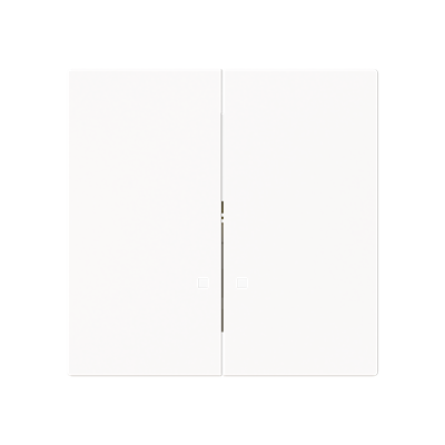 Busch-Jaeger 2CKA001751A3310 with print DO NOT DISTRUB central plate