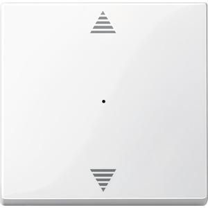MERTEN MEG5251-0319 Central plate polar white glossy System M