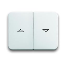 Busch-Jaeger 1785 JA-24G rocker switch, with print studio white high gloss