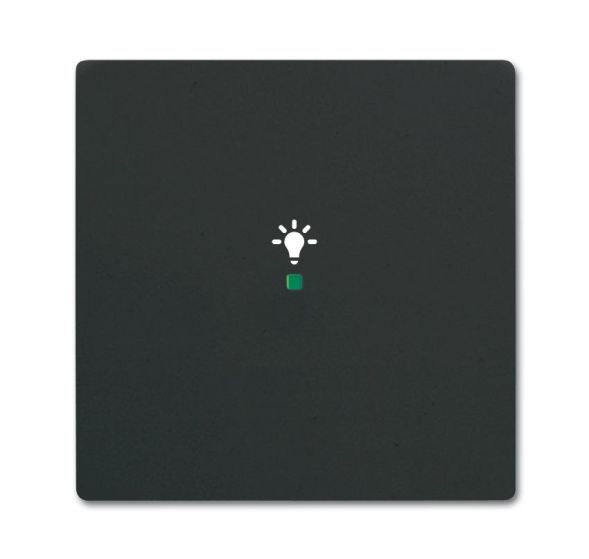 Busch-Jaeger 6231-10-885 Rocker switch, 1-way, with symbol &amp;#039;light&amp;#039; black matt