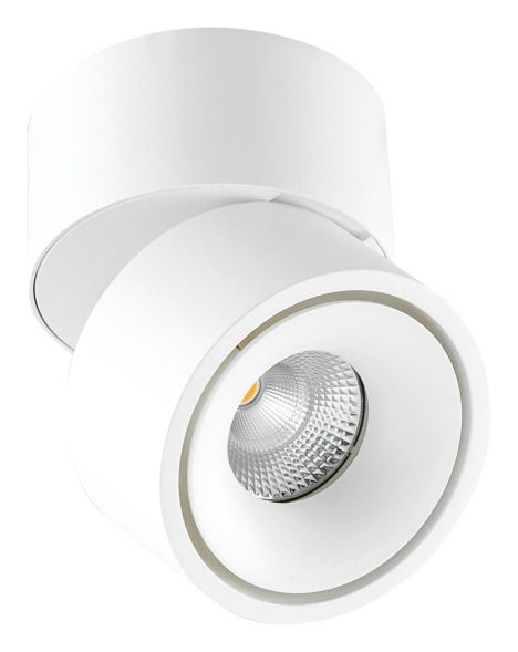 EVN AS20130102 200-240V 13W 3000K 1000lm swb R white LED ceiling light LB20