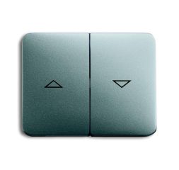 Busch-Jaeger 1785 JA-266 rocker switch, with print titanium