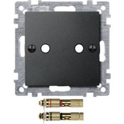 MERTEN 469314 central plate anthracite System M