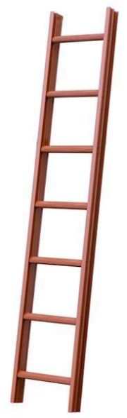 PROTEC.class 05101253 PD 110B 1x10 brown L:2.8m roof ladder