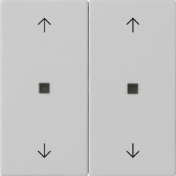 Gira 5386015 2f arrows control f. Sys 55 gr with rocker