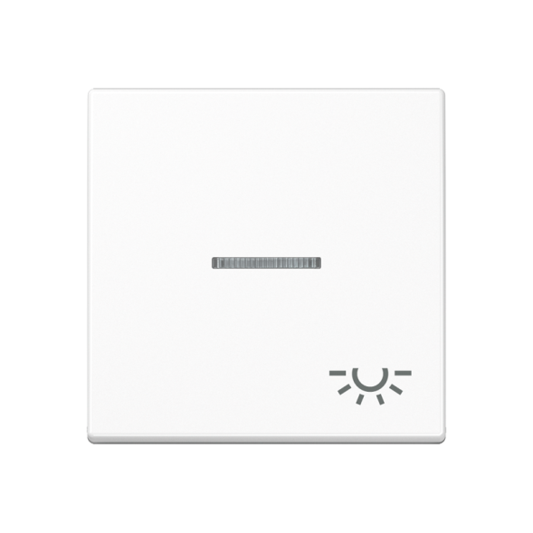 Jung A590BFKO5LWW rocker switch 1-way with light guide, symbol light, thermoplastic, series A, alpine white