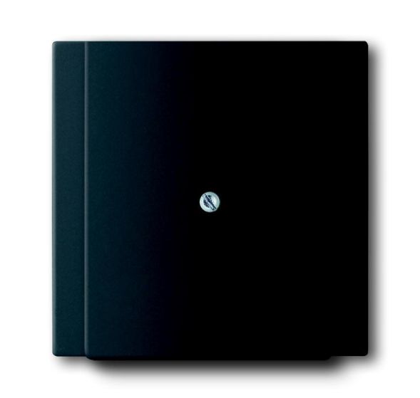 Busch-Jaeger 1749-775 central plate, with support ring black matt