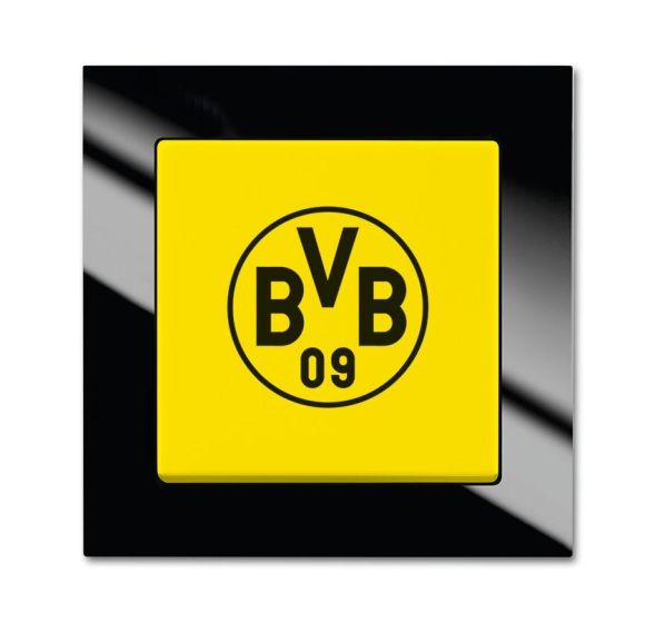 Busch-Jaeger 2000/6 UJ/01 Fan switch Borussia Dortmund, on and off switching