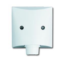 Busch-Jaeger 2133-34 central plate, with support ring alpine white