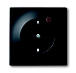 Busch-Jaeger 2310EUGL/VA-775-11 Busch-Protector® SCHUKO® socket insert, with surge protection, matt black