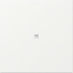 Gira 349027 straight control box Sys.55 rws with rocker