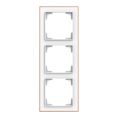 Busch-Jaeger 2CKA001754A4914 3-fm decorative ring frame