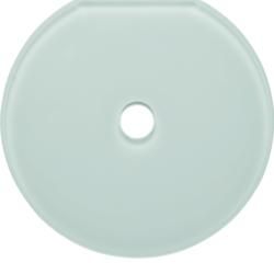 Berker 109409 glass end plate switch series glass pw