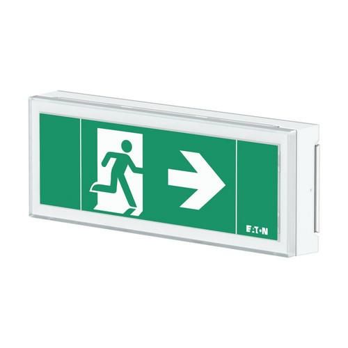 CEAG emergency light FT1EW4ICGL18 FT Exit Wall 12 m CGL+ 1-8H LED emergency light