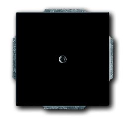 Busch-Jaeger 1749-81 central plate, with support ring anthracite