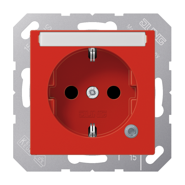 Jung A1520BFNAKORT SCHUKO socket, 16 A 250 V ~, without claws, with function display, with label field, integrated increased contact protection, SAFETY+, thermoplastic, Ser