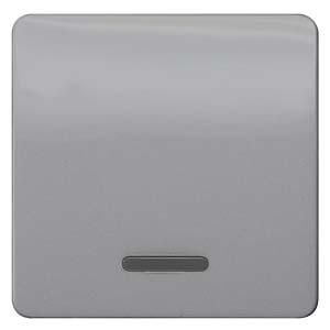 Siemens 5TG7920 rocker with window silver