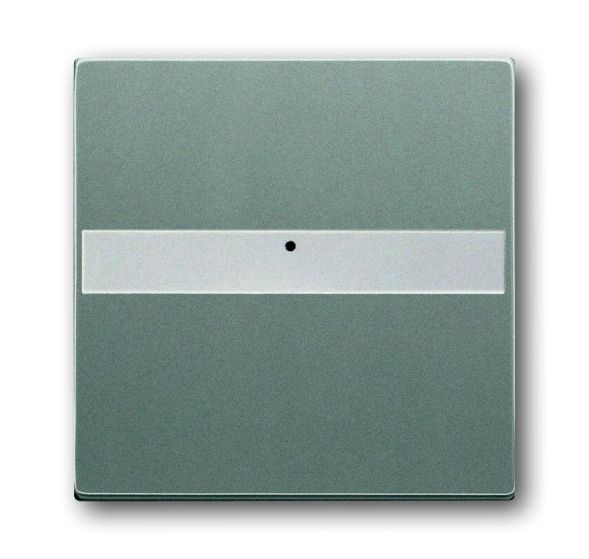 Busch-Jaeger 1764 NLI-803 rocker switch, with label field, metallic grey