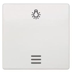 Siemens 5TG6206 rocker with symbol titanium white