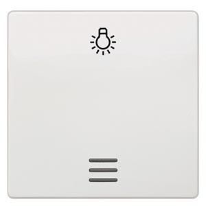 Siemens 5TG6206 rocker with symbol titanium white