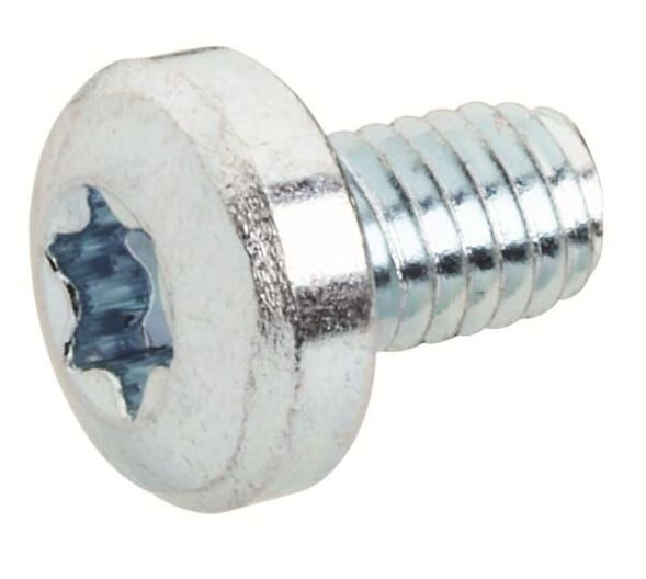 ABB Striebel &amp;amp; John RZ12P20 lens head screw M6x10 Torx T30, 2CPX046000R9999