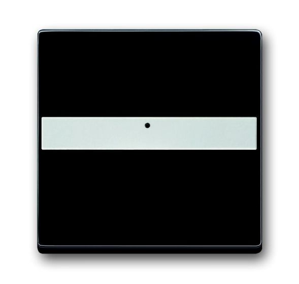 Busch-Jaeger 1764 NLI-81 rocker switch, with label field anthracite