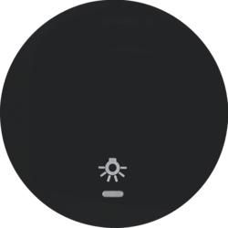 Berker 16212035 rocker switch with clear lens and imprint symbol light black, glossy Berker R.1/R.