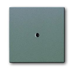 Busch-Jaeger 1745-803 central plate grey metallic