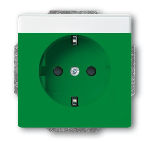 Busch-Jaeger 20 EUCNB-13-82 SCHUKO® socket insert, with label field green RAL 6032